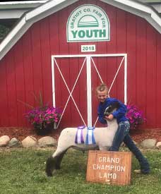 Homann Livestock Winners