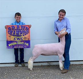 Homann Livestock Winners