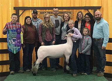 Homann Livestock Winners
