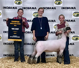 Homann Livestock Winners
