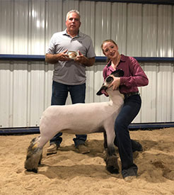 Homann Livestock Winners