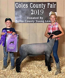 Homann Livestock Winners