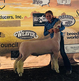 Homann Livestock Winners