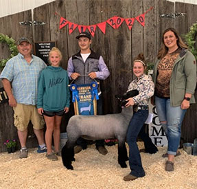 Homann Livestock Winners