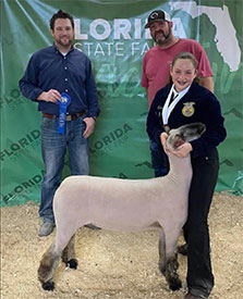 Homann Livestock Winners