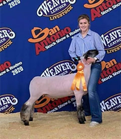 Homann Livestock Winners
