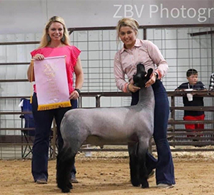 Homann Livestock Winners