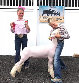 Homann Livestock Winners